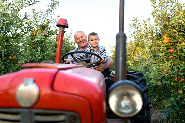 Farm Tractor - Foto 18