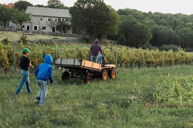 Farm Tractor - Foto 22