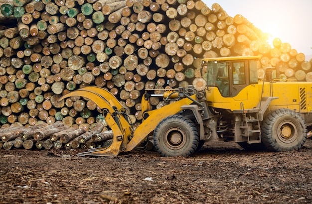 Telehandler - Foto 6